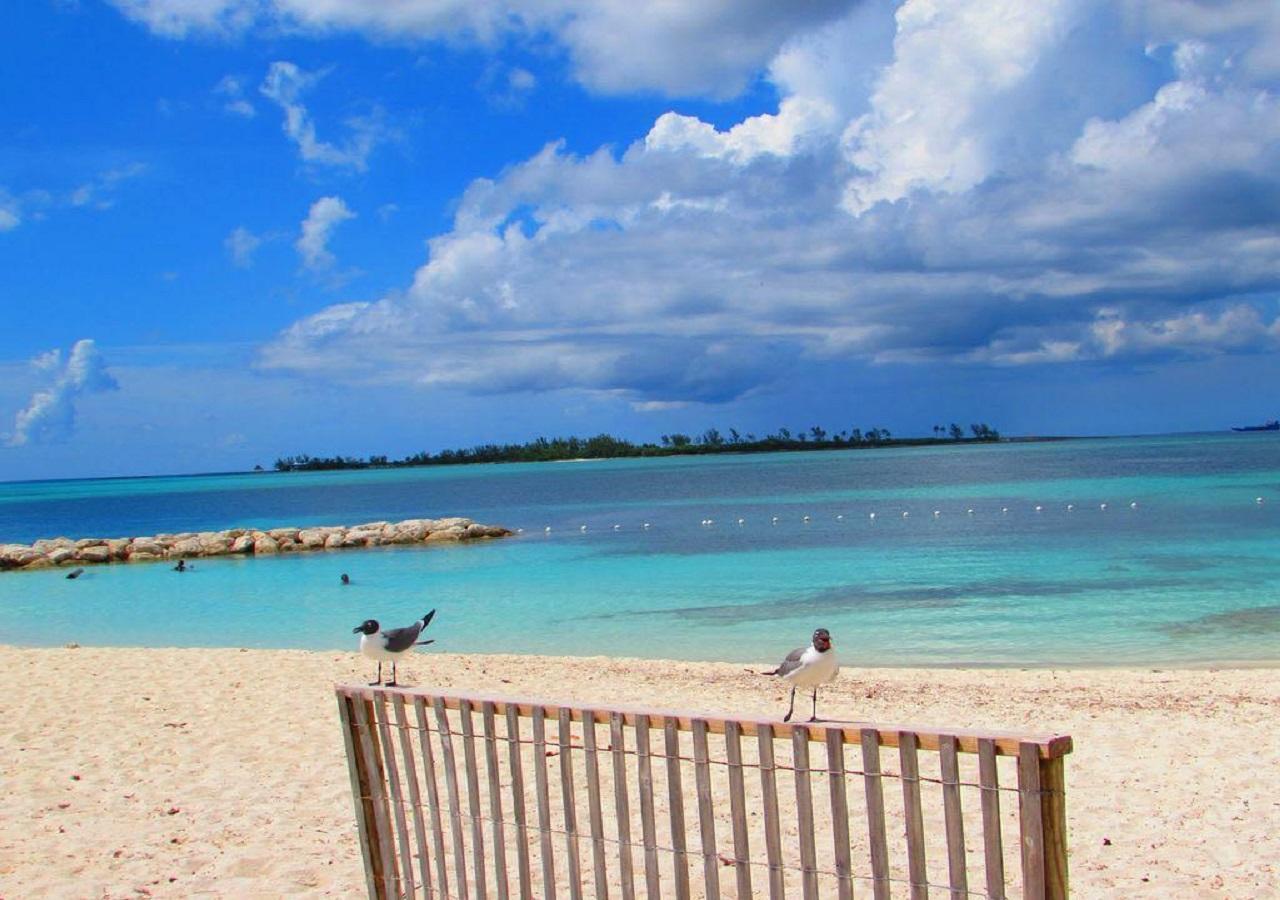 The Oasis Retreat Appartement Nassau Buitenkant foto